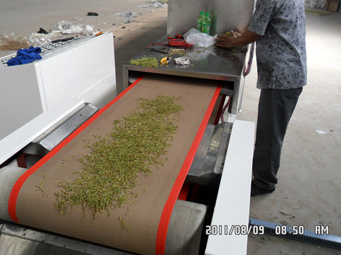 金银花微波杀青机