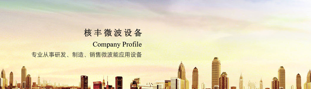 公司简介