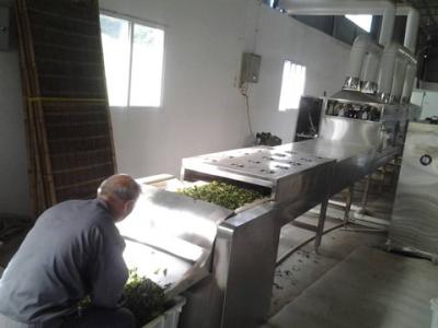 茶叶微波杀青设备